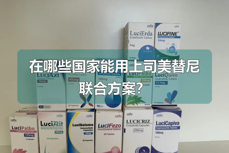 在哪些国家能用上司美替尼联合方案？